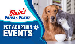 Blain’s Farm & Fleet Announces VIP PetCare Now Available at Select Store Locations | Live Media
