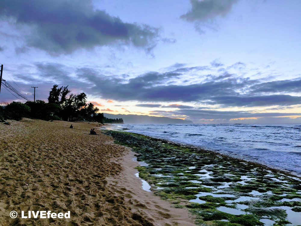 Laniakea Beach, also known as the Turtle Beach of the North Shore / Photo credit: LIVEfeed