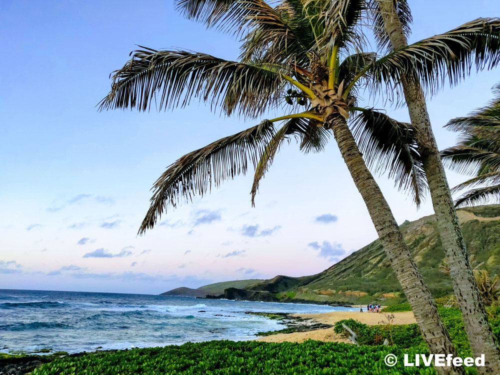 Ocean view from Sandy Beach, Honolulu, HI / Photo credit: LIVEfeed