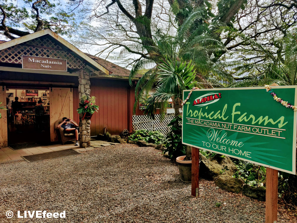 Entrance to the Tropical Farms of Hawaii / Photo credit: LIVEfeed