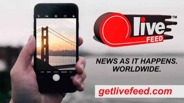 LiveFEED® Content Marketplace